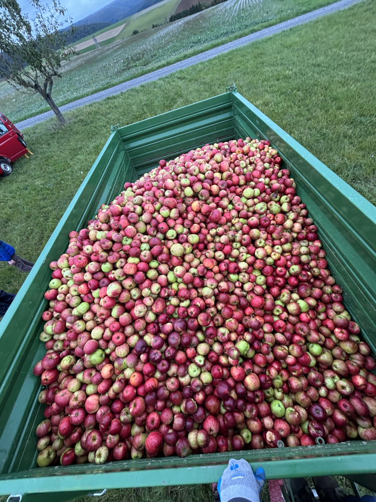 Anhänger mit Äpfeln