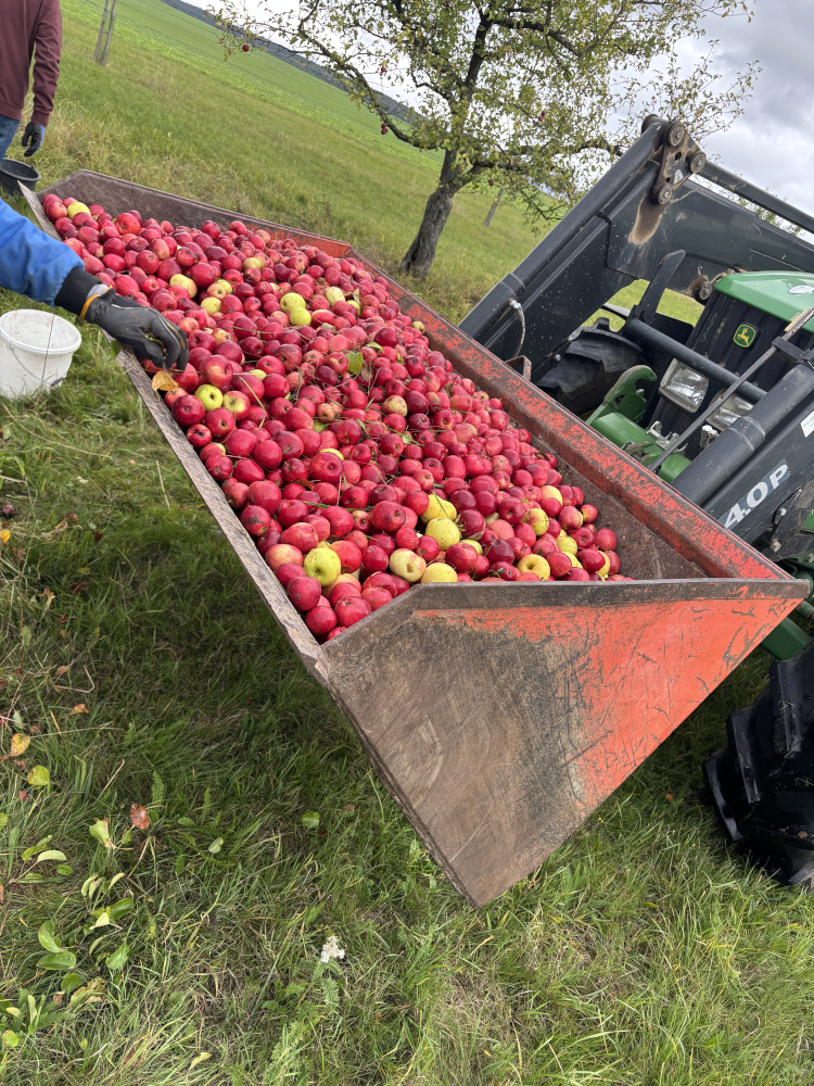 Volle Traktorschaufel